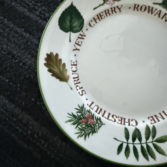 The‎ National Trust ENGLISH TREES 8.25" Plate Salad Dessert Fauna Nature Forest - Picture 4 of 6